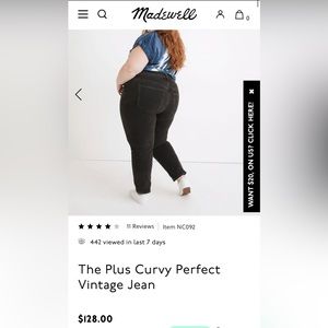Madewell Curvy Vintage Jean- 20W